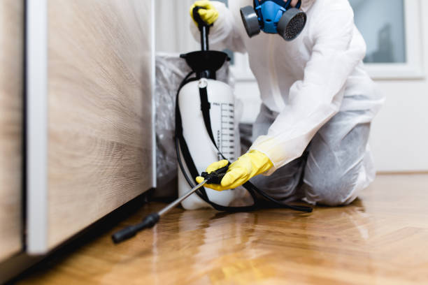 Best Ant Control Services  in Jacksonvle, IL