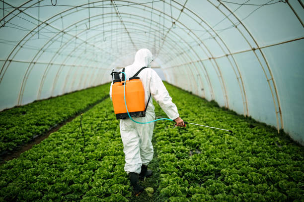 Best Pest Inspection Near Me  in Jacksonvle, IL