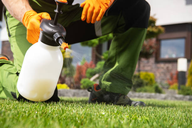Best Exterminator Services  in Jacksonvle, IL