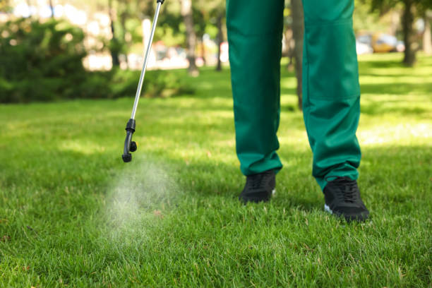 Best Affordable Pest Control Services  in Jacksonvle, IL