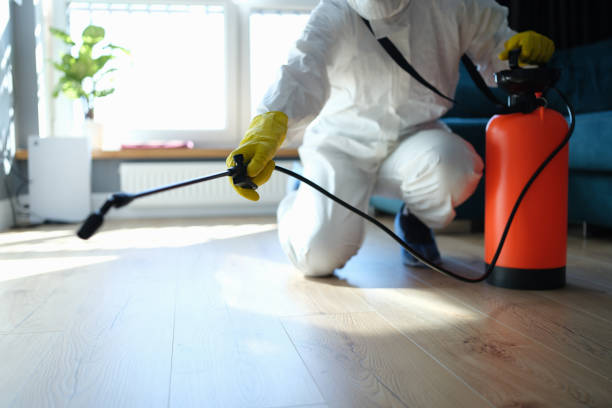 Best Pest Prevention Services  in Jacksonvle, IL