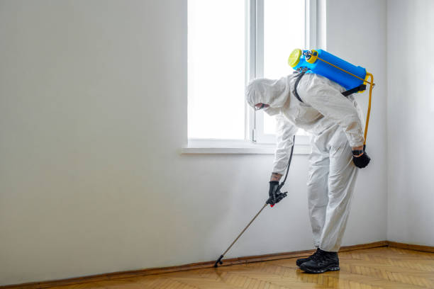 Trusted Jacksonville, IL Pest Control Experts