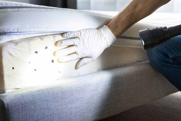 Best Pest Control Treatment  in Jacksonvle, IL