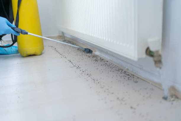 Best Pest Control Near Me  in Jacksonvle, IL